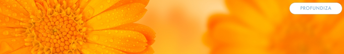 1 calendula
