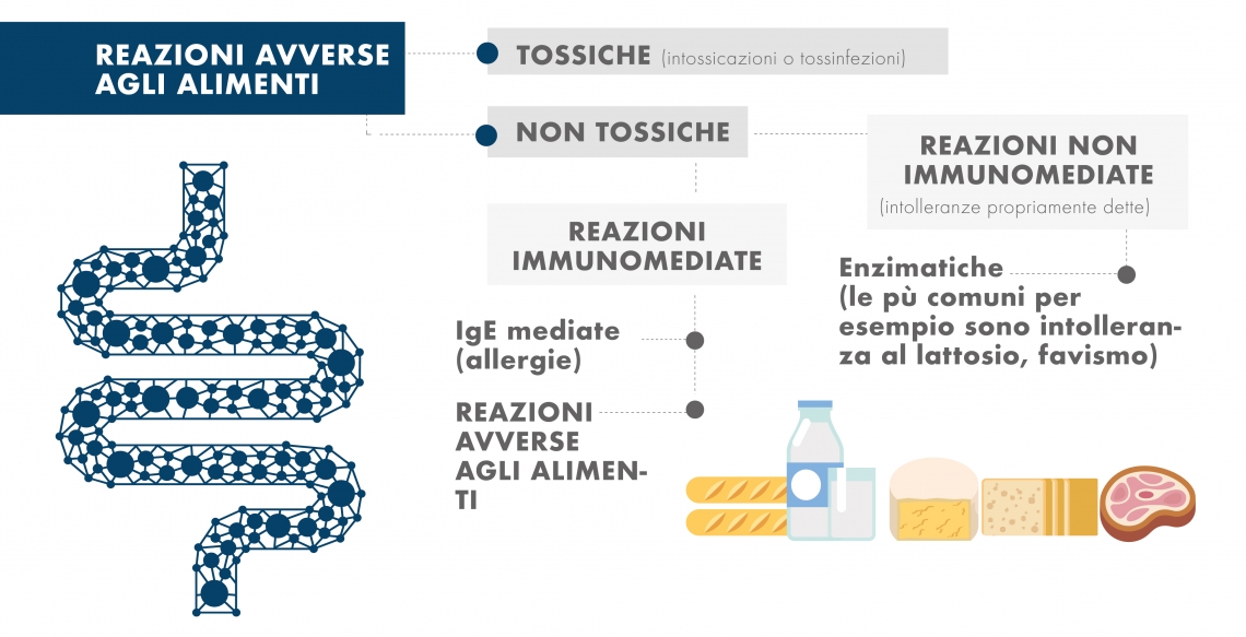 13 IMM1 Tavola disegno 1 copia 2