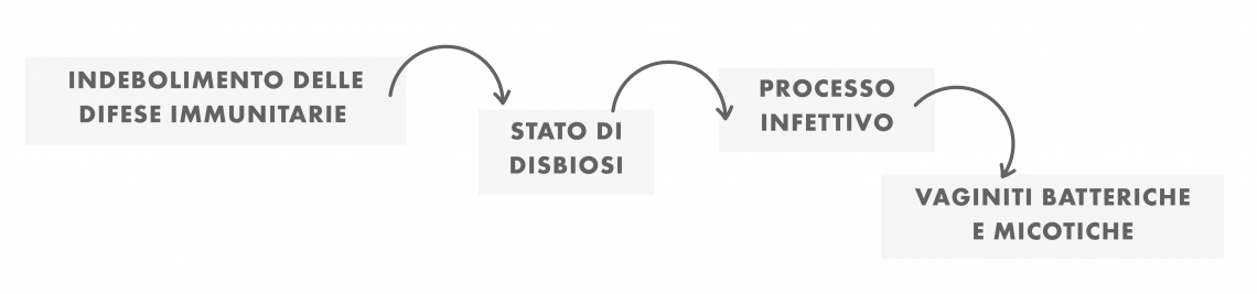 15 IMM1 Tavola disegno 1 copia 2