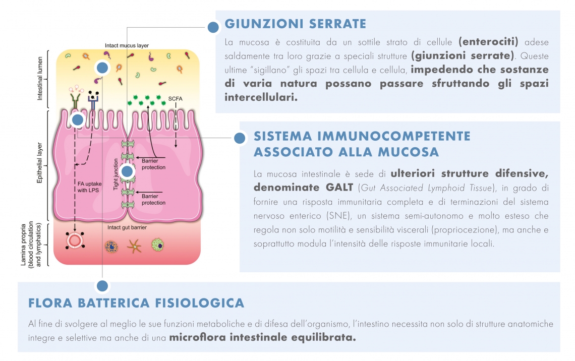 6 IMM1 Tavola disegno 1 copia