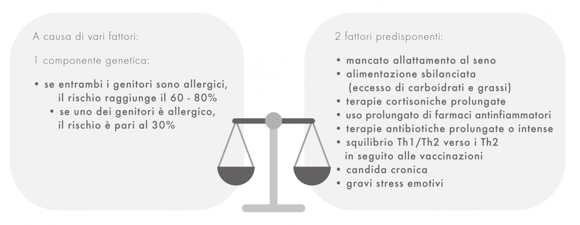 8 IMM1 Tavola disegno 1 copia