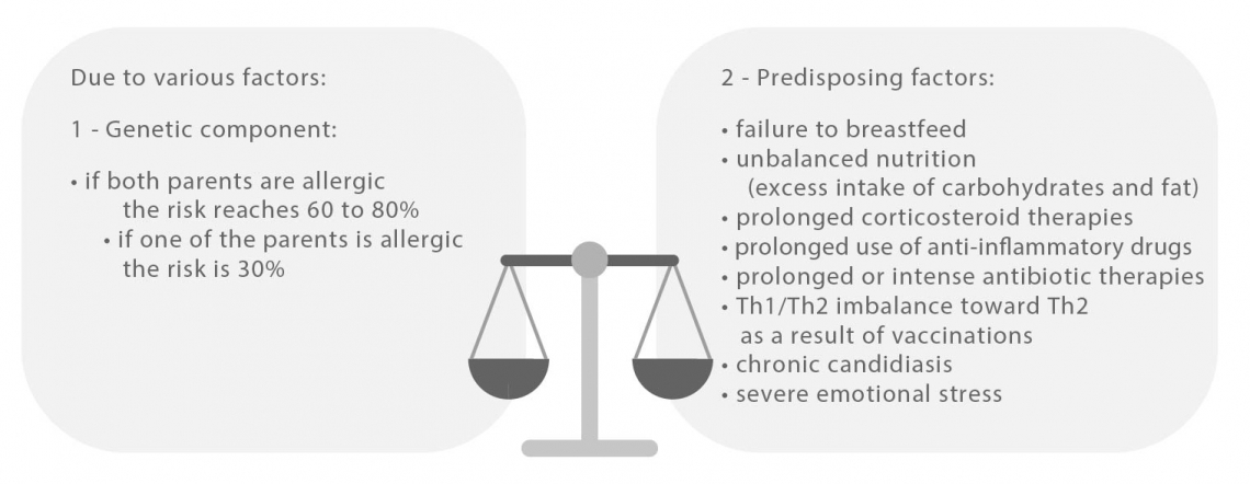 ALLERGIE 2 ALLERGIE 2