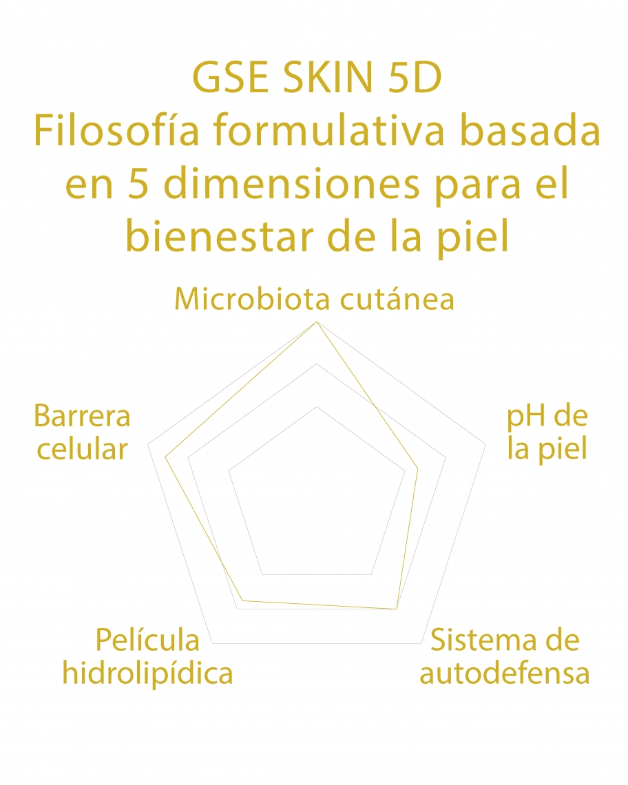 esquema filosofia 5D Mycos