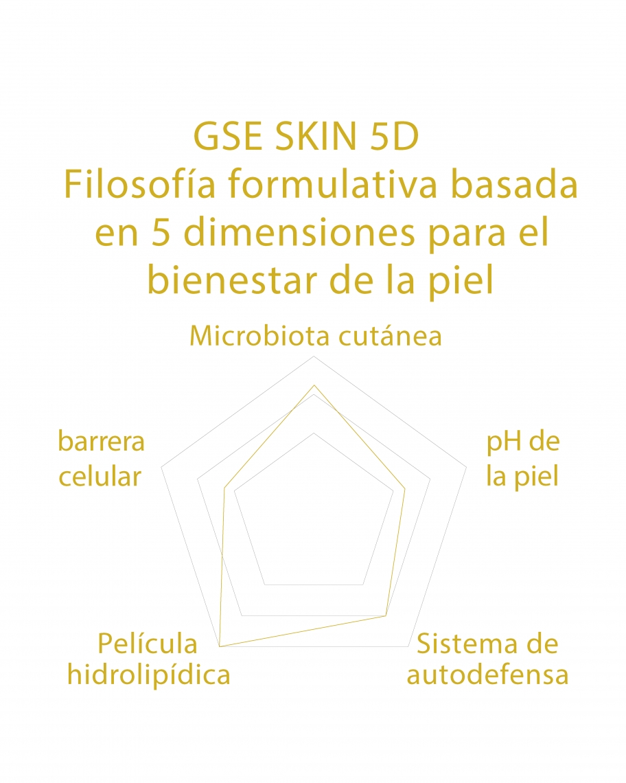 esquema filosofia 5D Powder