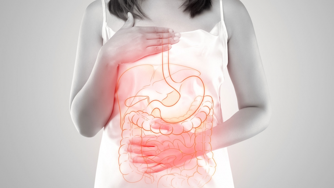 illustration of internal organs is on the womans body against a gray background