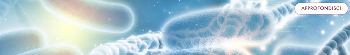 probiotici stipsi