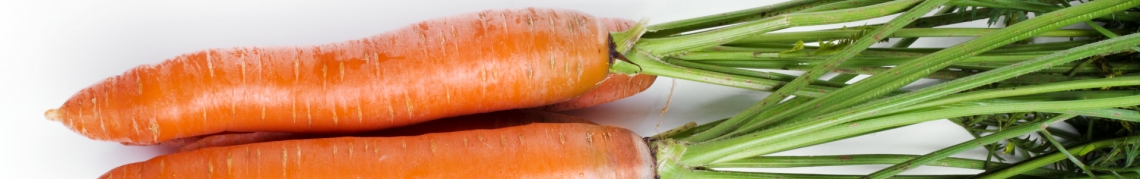 sistema immunitario carote