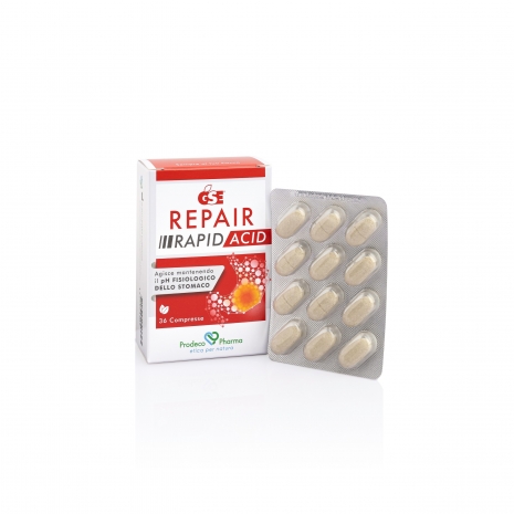 Gse repair rapid acid 36cpr ce 2.jpeg
