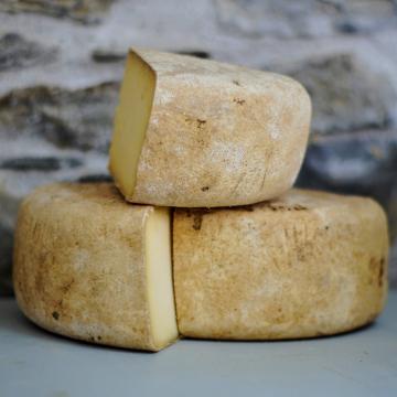 formaggio (1)