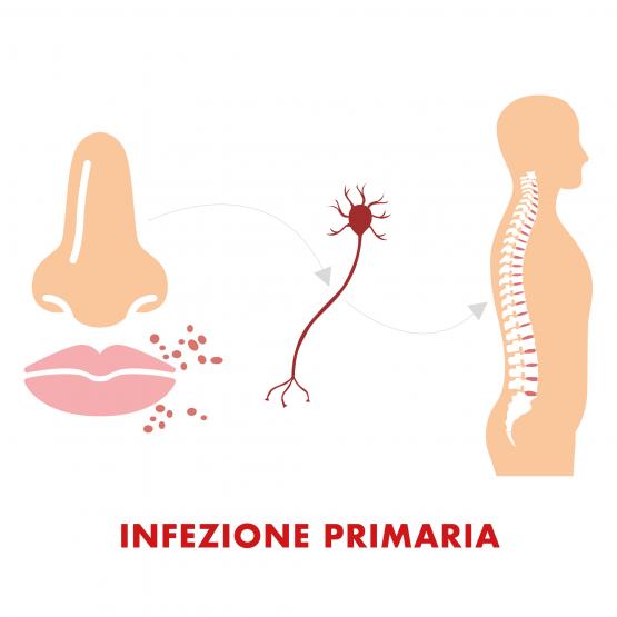 1 IMM1 Tavola disegno 1 copia 2