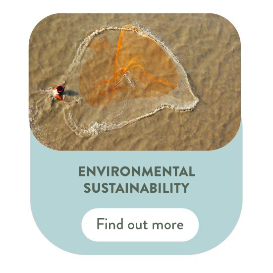 enviromental