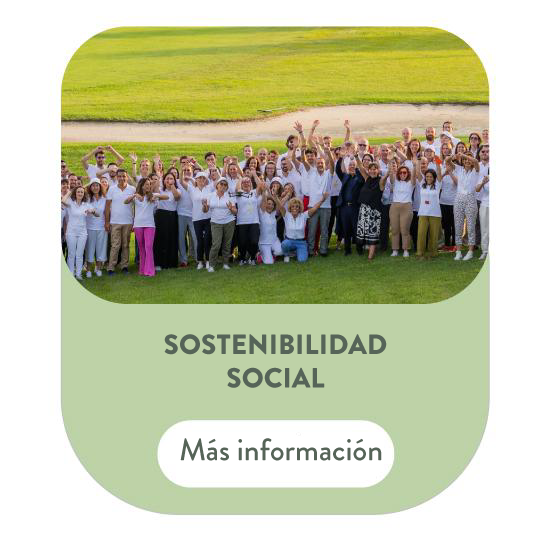 social es