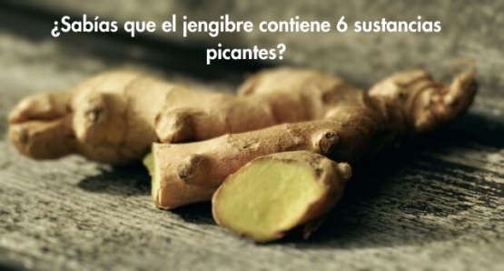 1 ¿Sabías que el jengibre contiene 6 sustancias picantes