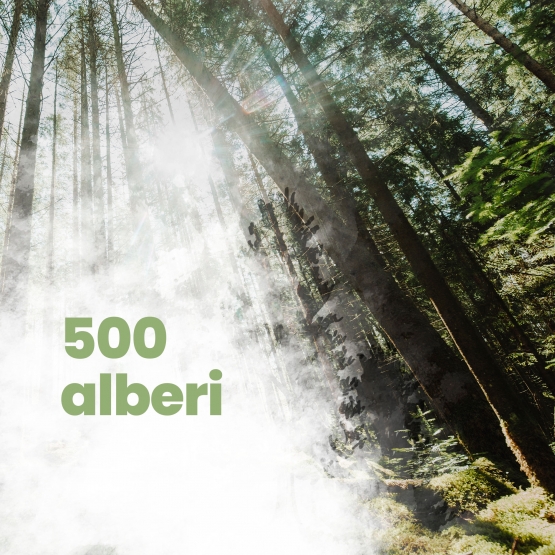 500alberi