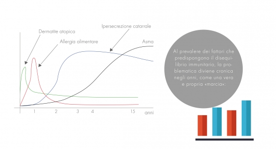 7 IMM1 Tavola disegno 1 copia 3