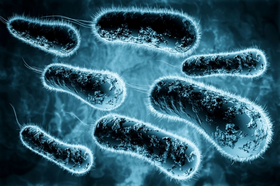 digital 3d illustration of bacteria