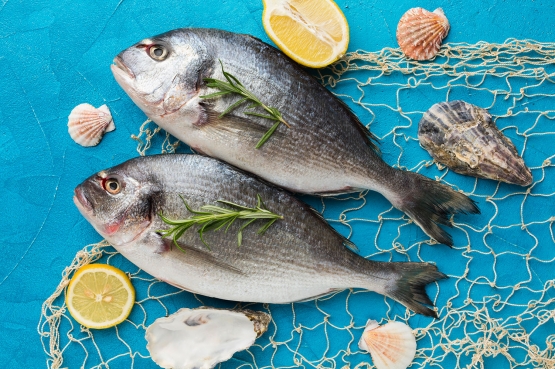 flat lay fishes with fishing net