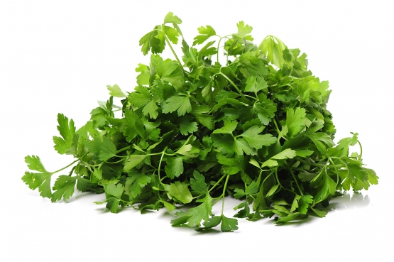 fresh parsley isolated