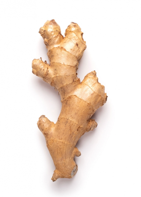 ginger root on isolated white