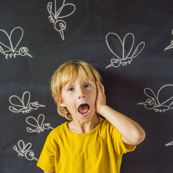 the boy is bitten by mosquitoes on a dark background on the blackboard with chalk painted mosquitoes1 1